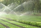 Roebournelandscaping-irrigation-11.jpg; ?>