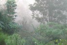 Roebournelandscaping-irrigation-4.jpg; ?>